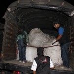 Marihuana incautada