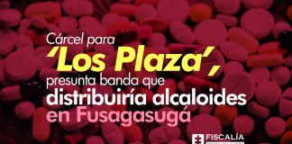 Cárcel para ‘Los Plaza’, presunta banda que distribuiría alcaloides en Fusagasugá