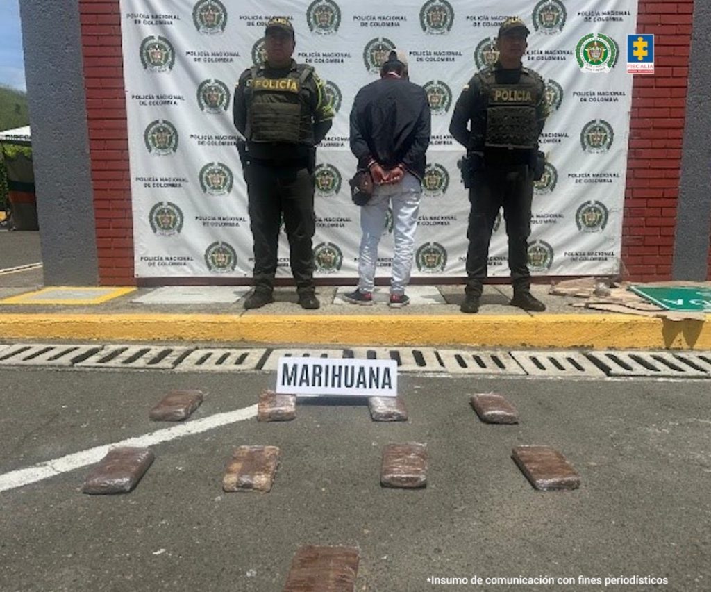 En la fotografía se aprecia de pie, con los brazos atrás, esposado y de espaldas a la cámara a Alveiro Quintumbo Casamachin. Viste camisa de larga arremangada hasta los codos, de color azul oscuro; jean azul claro. A sus extremos hay uniformados de la Policía Nacional. En el suelo hay nueve paquetes y un letrero que dice: ’Marihuana’. En la parte posterior hay un pendón institucional de la Policía.
