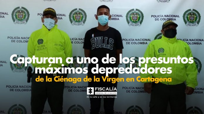 Depredador Ciénaga de la Vírgen