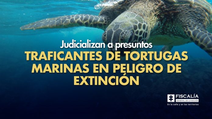 Fiscal_Francisco_Barbosa_tráfico_tortugas