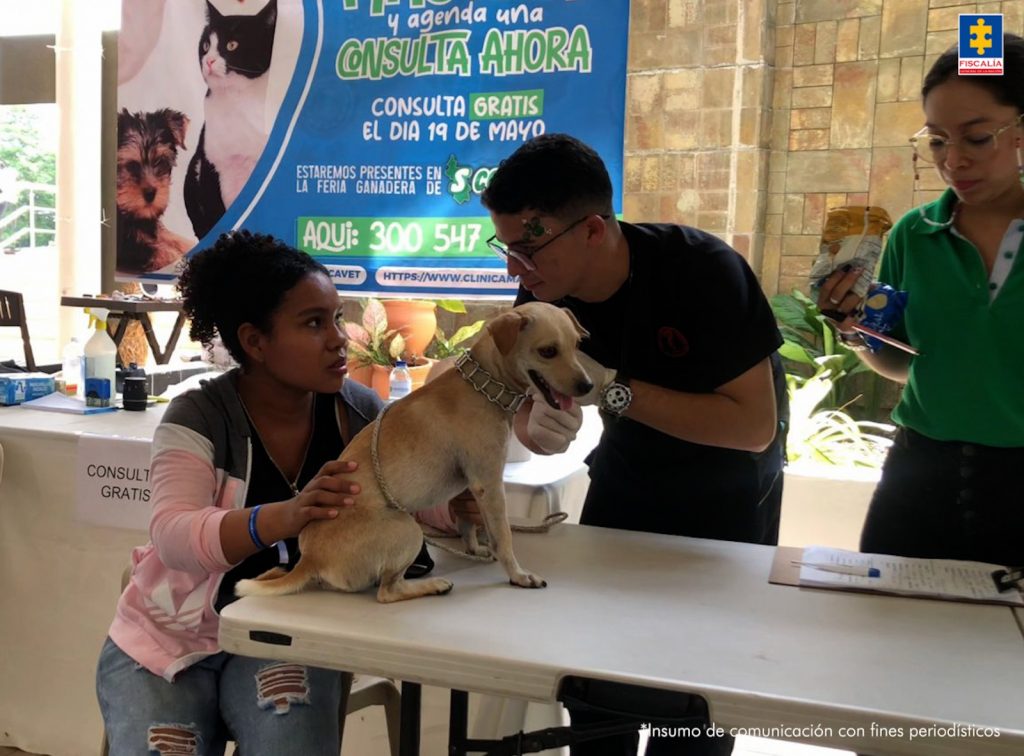 En la imagen aparece unas personas frente a un perro colocándole una vacuna.