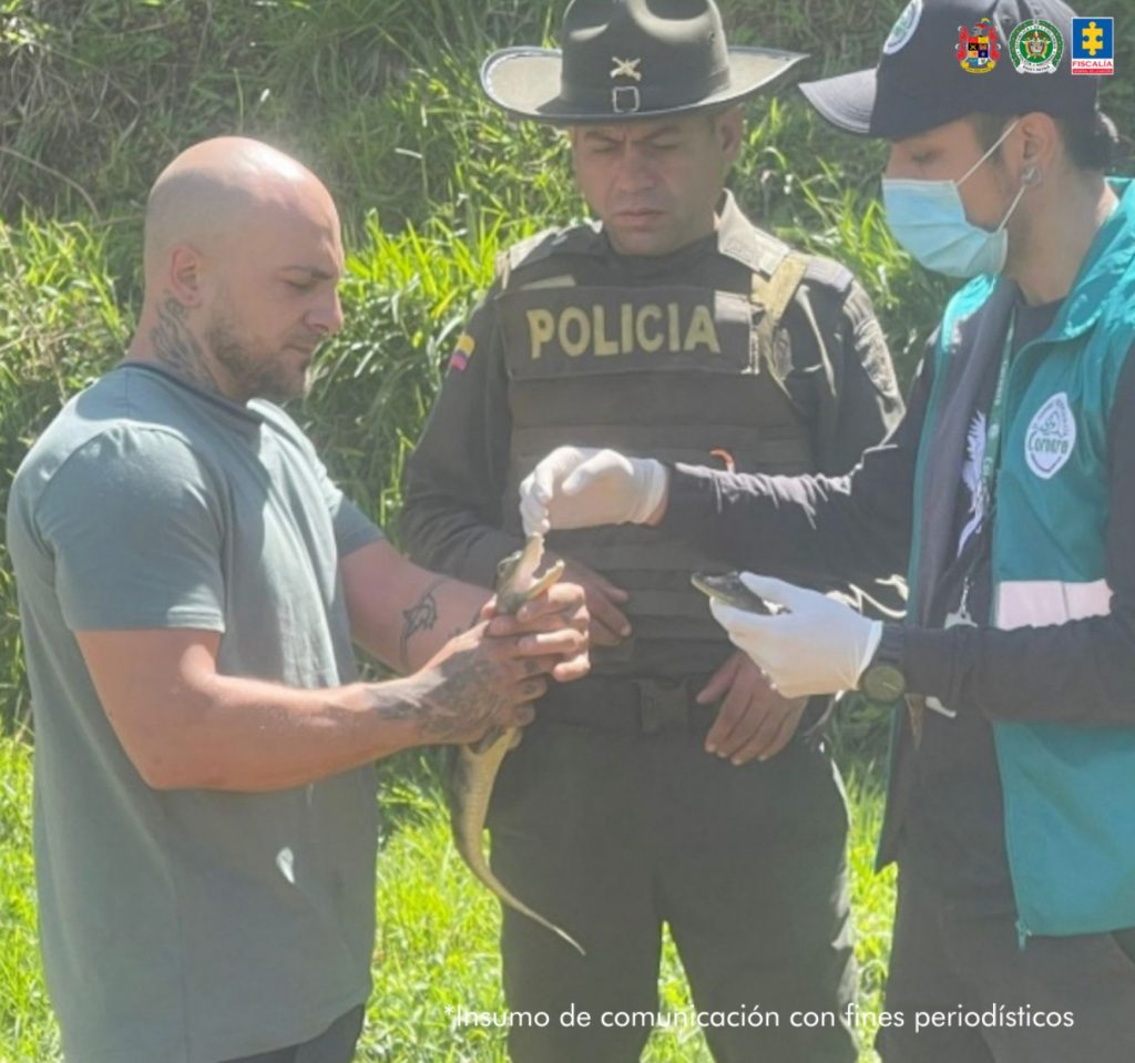 En la imagen hay dos funcionarios y el procesado con una babilla que fue recuperada.