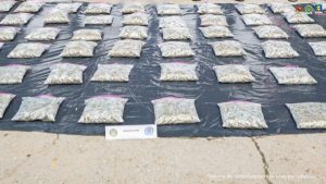 En la foto se observa los paquetes de estupefaciente (marihuana) que iban dentro del vehículo.