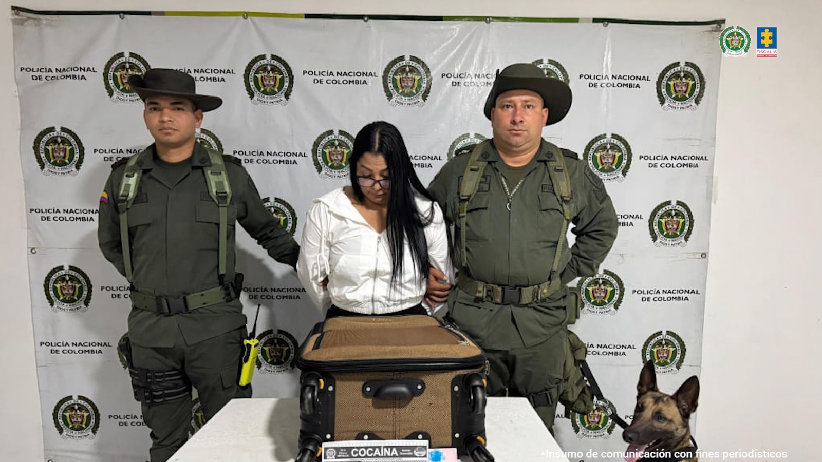 En la fotografía se aprecia de pie y con los brazos atrás a Nubia Stella Mesa Bolaños. Viste blusa tipo chaqueta con cierre delantero, y pantalón oscuro. Usa gafas y cabello largo. A sus extremos hay uniformados de la Policía Nacional y un canino. Delante de ellos hay una superficie blanca y sobre ella una maleta de color café con un letrero que dice: ‘Cocaína’. Detrás de ellos hay un pendón institucional de la Policía.
