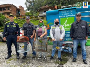 Judicializadas tres personas que mantenían animales silvestres en cautiverio