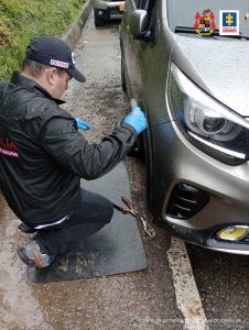 En la imagen se aprecia a un servidor del CTI en momentos en que inspecciona un vehículo en el que fueron encontrados ocultos más de 1.044 millones de pesos. El carro fue detectado en una vía del Huila. En este caso el carro fue incautado, al igual que el dinero; y el conductor judicializado. 