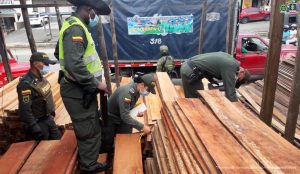En las imágenes se ve los trozos de madera amarrados en forma de espina de pescado, siendo transportados a través de ríos y mares del Pacífico.
