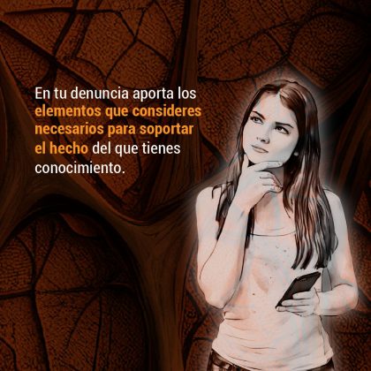En tu denuncia aporta los elementos que consideres necesarios para soportar el hecho del que tienes conocimiento