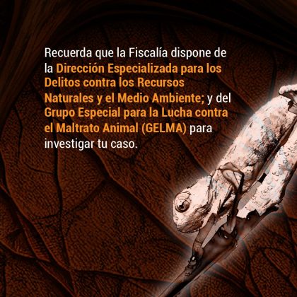Recuerda que la Fiscalía dispone de la Dirección Especializada para los Delitos contra los Recursos Naturales y el Medio Ambiente; y del Grupo Especial para la Lucha contra el Maltrato Animal (GELMA) para investigar tu caso.