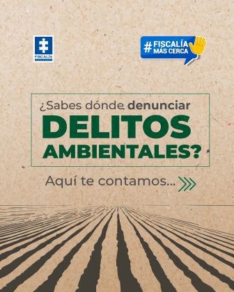 pieza inicial #FiscalíaMásCerca Dónde se pueden denunciar delitos contra el medio ambiente