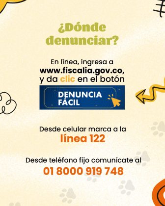 ¿Dónde denunciar? En línea: Ingresa a: www.fiscalia.gov.co Haz clic en el botón: ![Botón azul con texto blanco] DENUNCIA FÁCIL (acompañado de un ícono de clic). Por teléfono: Desde celular: Marca la línea 122 Desde teléfono fijo: Comunícate al 01 8000 919 748 El diseño es colorido, con elementos gráficos como flechas, huellas y dibujos decorativos. El propósito es facilitar a las personas el acceso a canales de denuncia de manera clara y accesible.
