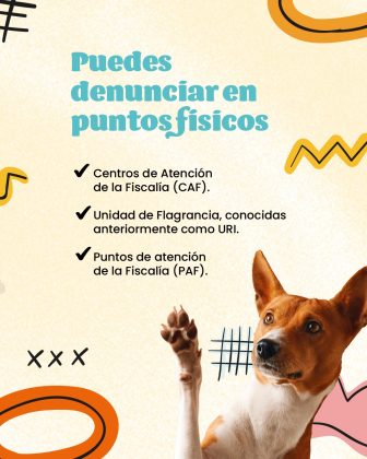 Esta imagen complementa la información sobre dónde denunciar en Colombia, especificando los puntos físicos disponibles. Aquí tienes el contenido: Puedes denunciar en puntos físicos ✔ Centros de Atención de la Fiscalía (CAF). ✔ Unidad de Flagrancia, conocidas anteriormente como URI. ✔ Puntos de atención de la Fiscalía (PAF). La imagen incluye un diseño llamativo con colores vivos, figuras decorativas y la ilustración de un perro levantando la pata, lo que le da un toque amigable y accesible al mensaje.