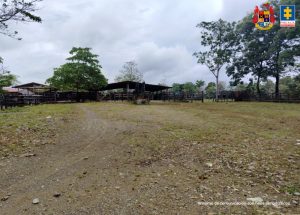  Vista general de un predio rural con estructuras de tipo pecuario y corrales en madera, rodeado de vegetación y árboles de gran tamaño. El lugar corresponde a una zona abierta utilizada para actividades agropecuarias, fotografiada bajo condiciones climáticas nubladas. La imagen se emplea como recurso gráfico con fines informativos.