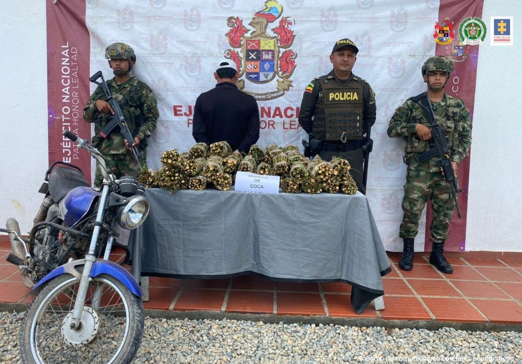 En la imagen se ve una persona detenida de espaldas bajo custodia de dos integrantes del Ejército y uno de la Policía. Delante de ellos una mesa con tallos de mata de coca incautados.