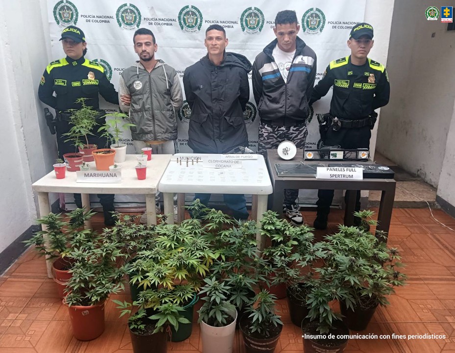 En la imagen se ven tres capturados bajo custodia de uniformados de la Policía Nacional. Delante de ellos una mesa con varios elementos incautados; en el suelo varias matas de cannabis y detrás, un backing institucional.