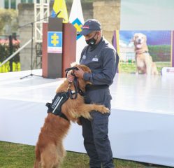 Ceremonia de jubilación de caninos