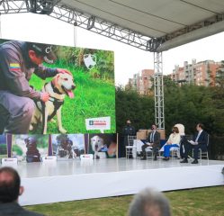 Ceremonia de jubilación de caninos