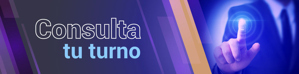 Consulta-tu-turno-Boton