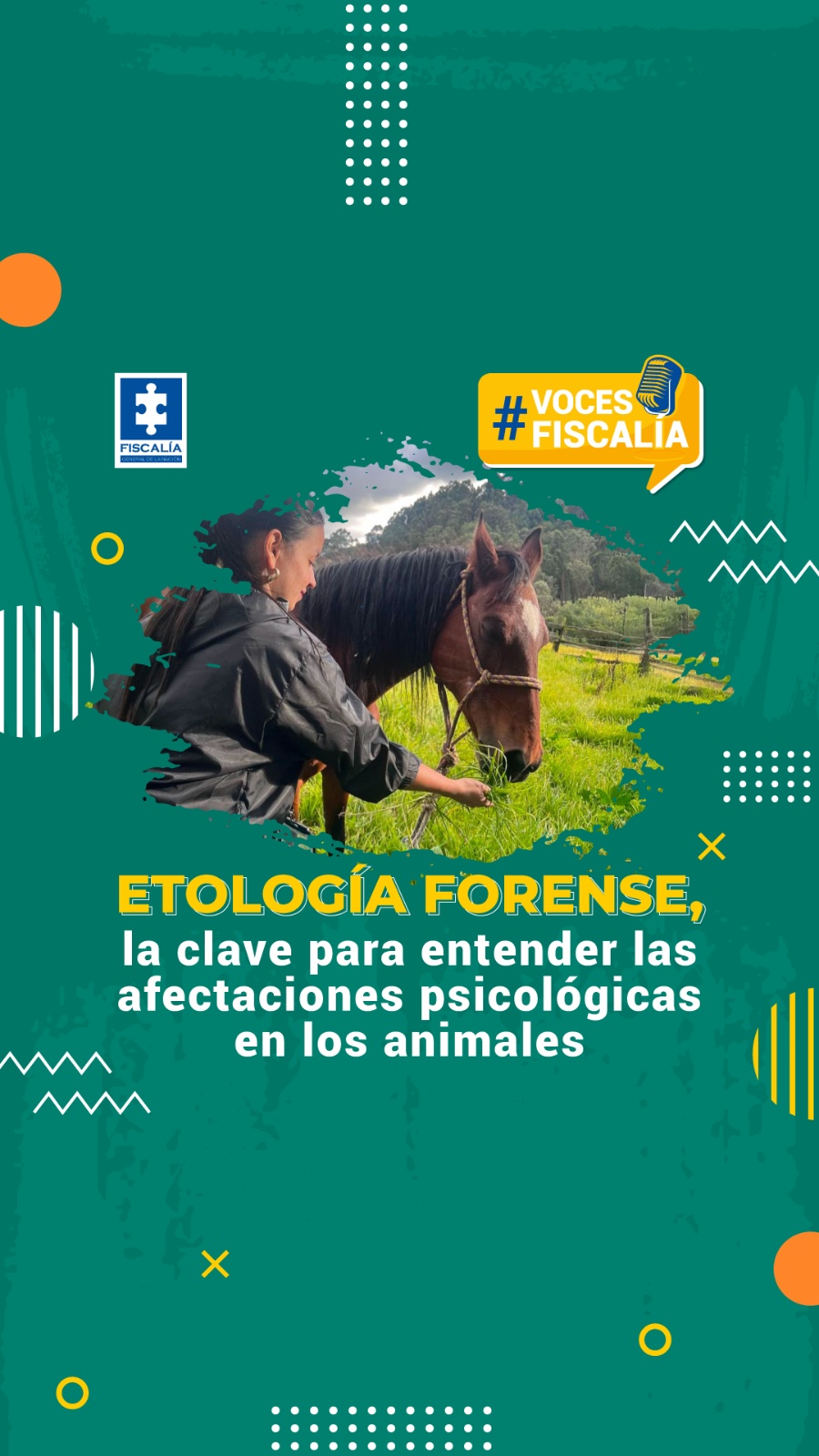 En la imagen de portada de la sección de redes sociales Voces Fiscalía se ve un fondo verde y en la mitad una fotografía de una mujer dándole comida a un caballo con su mano y un titular que dice: Etología forense, la clave para entender las afectaciones psicológicas en los animales.