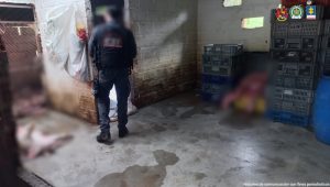 En la fotografía aparece un servidor del CTI durante el operativo de allanamiento y registro.